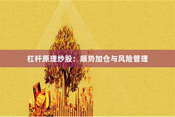 杠杆原理炒股：顺势加仓与风险管理