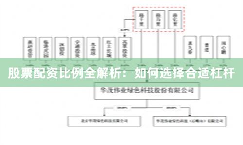 股票配资比例全解析：如何选择合适杠杆