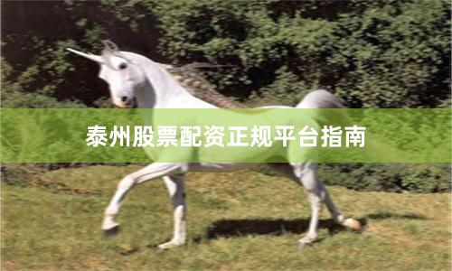 泰州股票配资正规平台指南